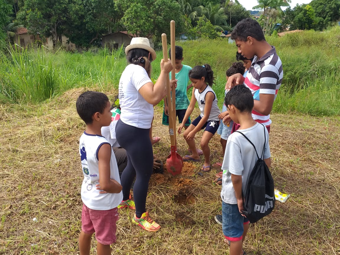 Semana do Meio Ambiente: Cerca de 2.000 mudas de Arvores serão plantadas nas praças e logradouros de Laranjal do Jari.